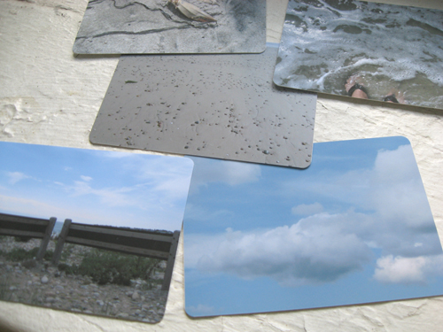 landscape image 1